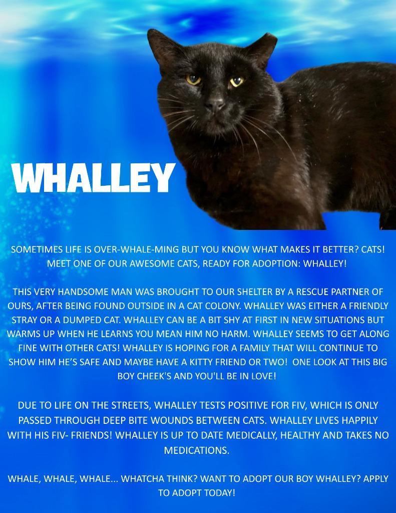 Whalley
