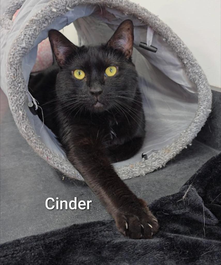 Cinder