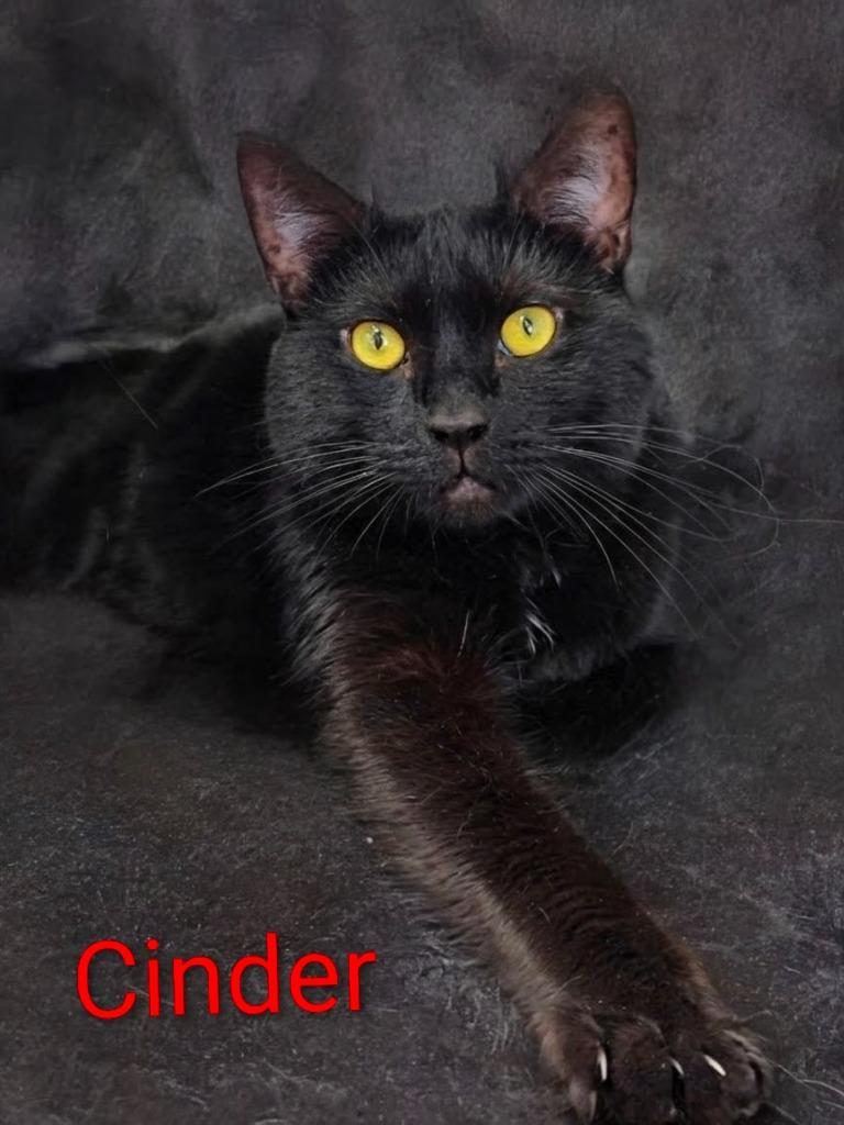Cinder