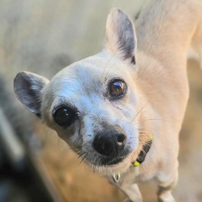 Leo Aries "your Perfect photo 1