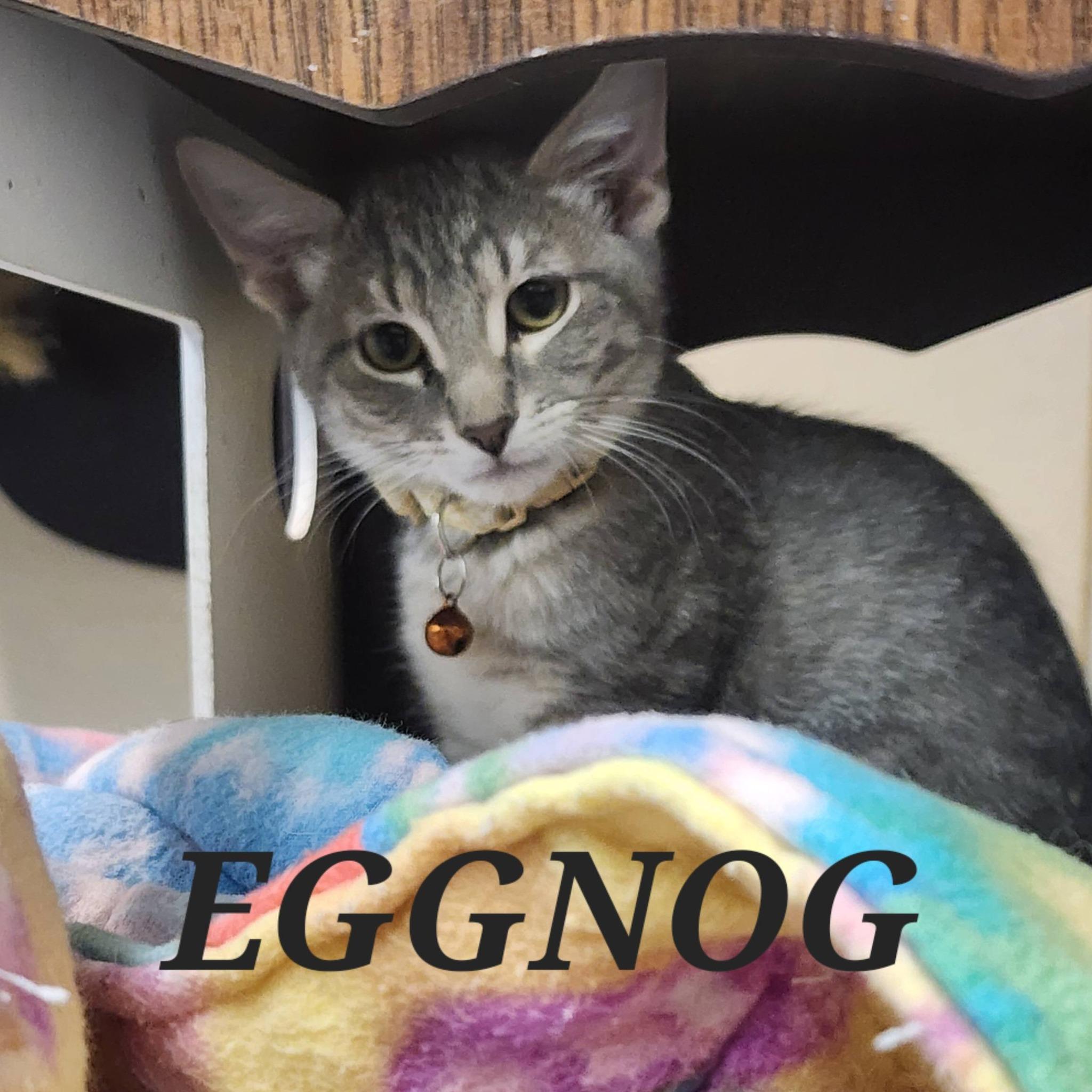 Eggnog
