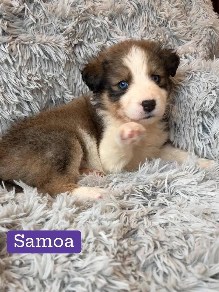 Samoa