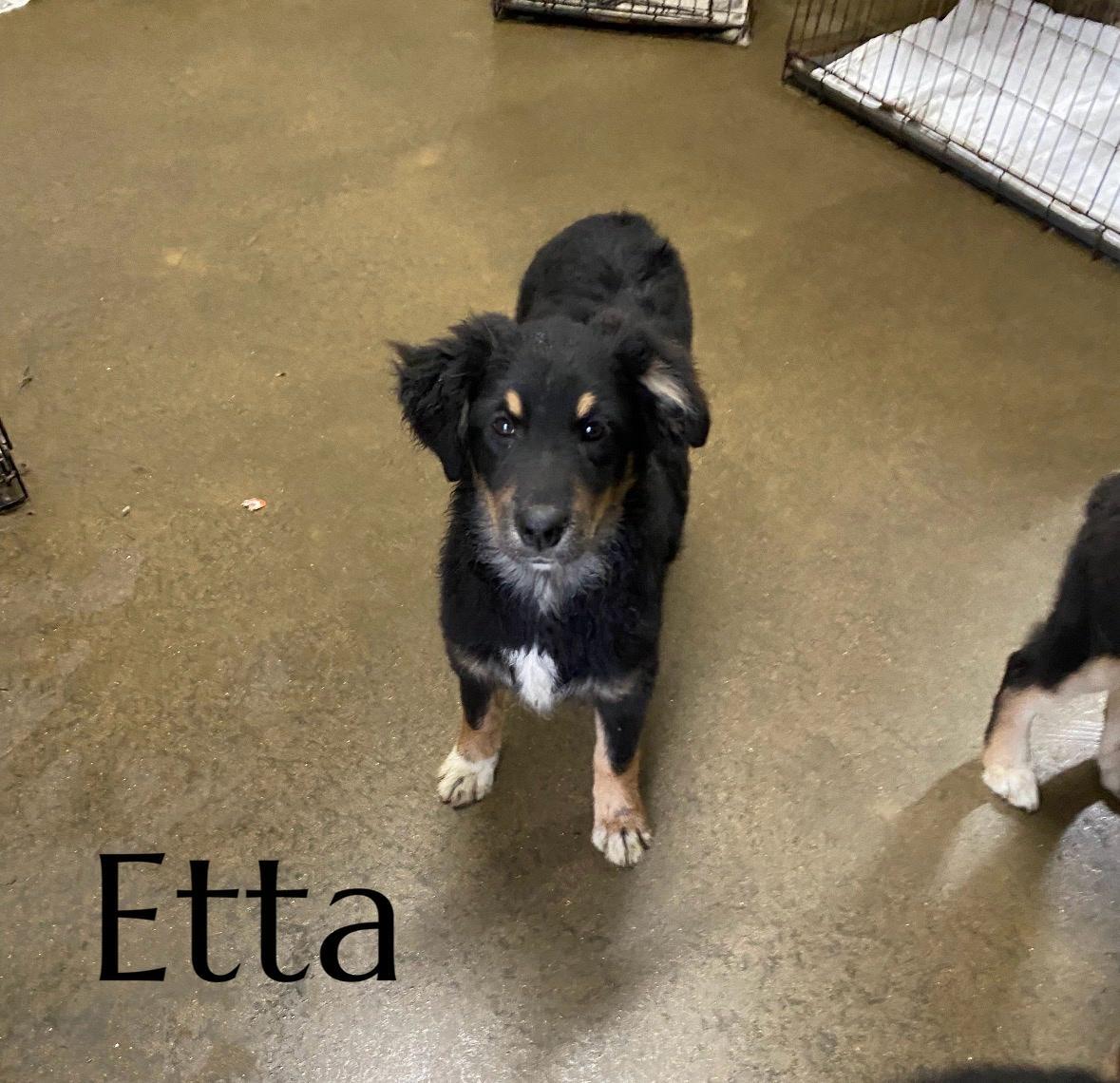 Etta