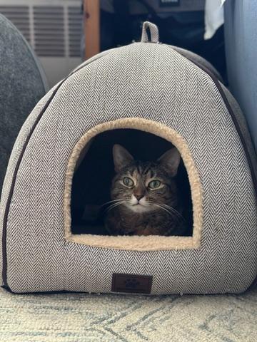 Blanket! Warm And Snuggly