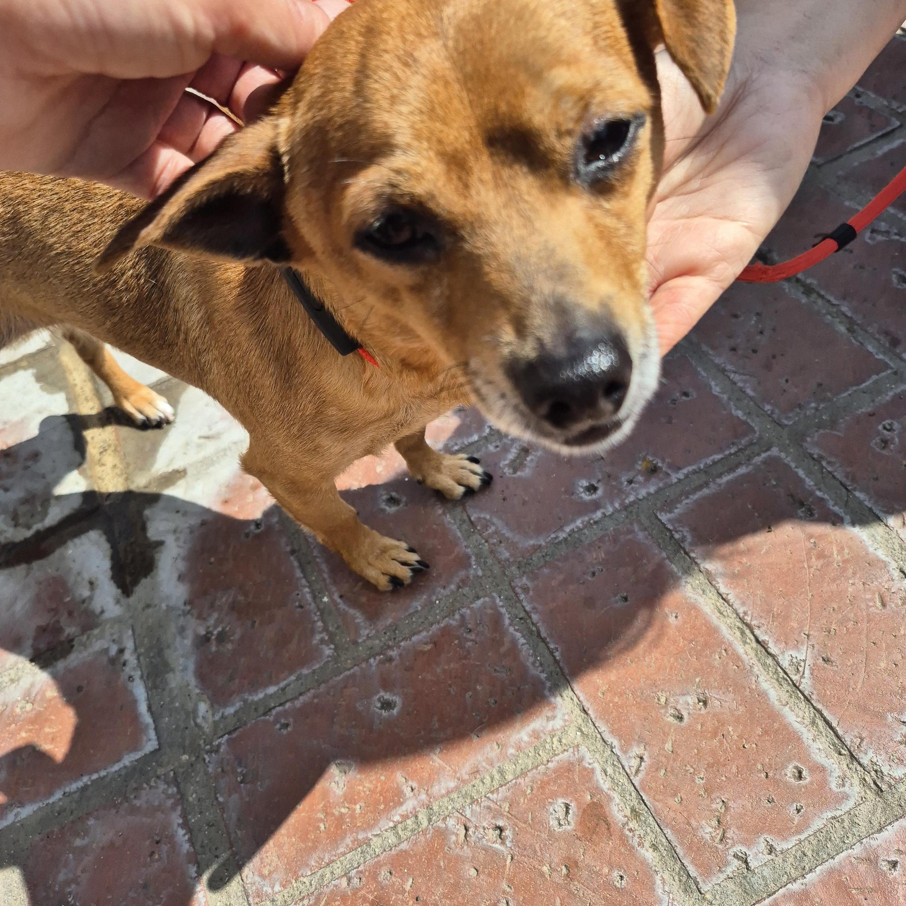 Peewee! Lucky! And Jerry!!