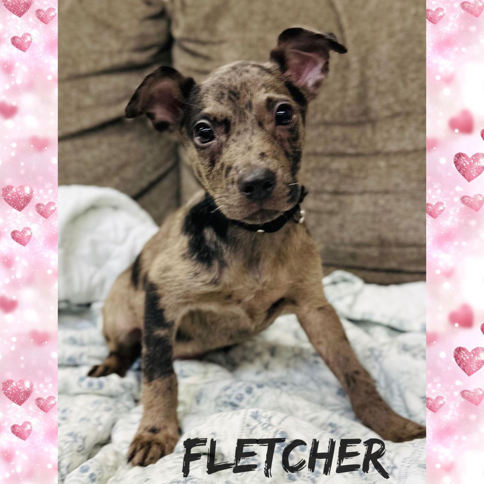 Fletcher Louisiana