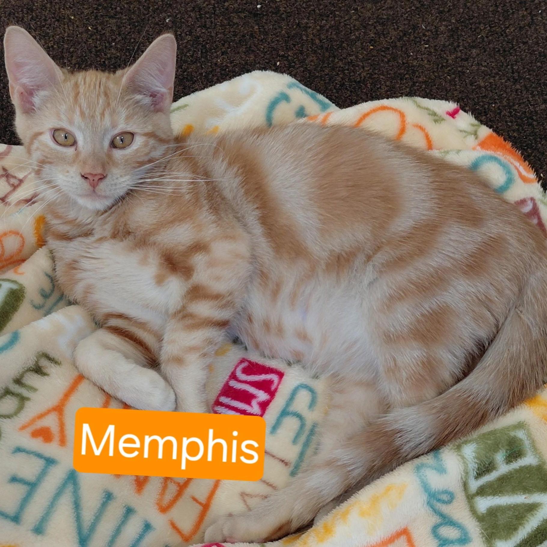 Memphis