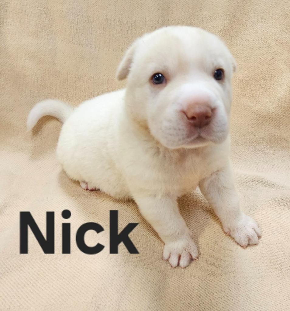 Nick