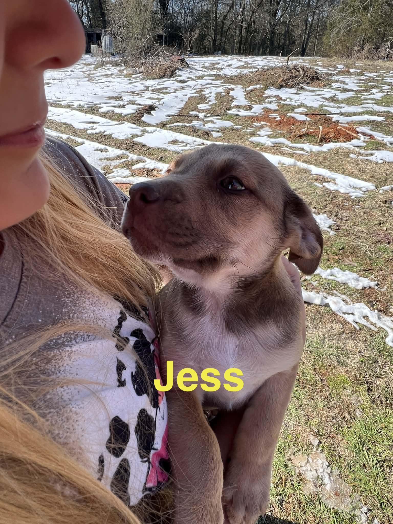 Jess
