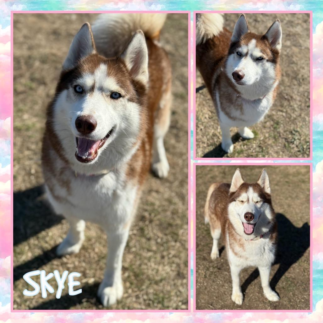 Skye