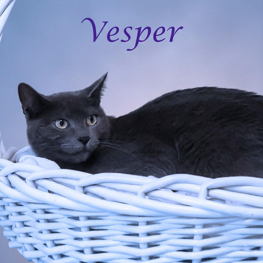 Vesper C