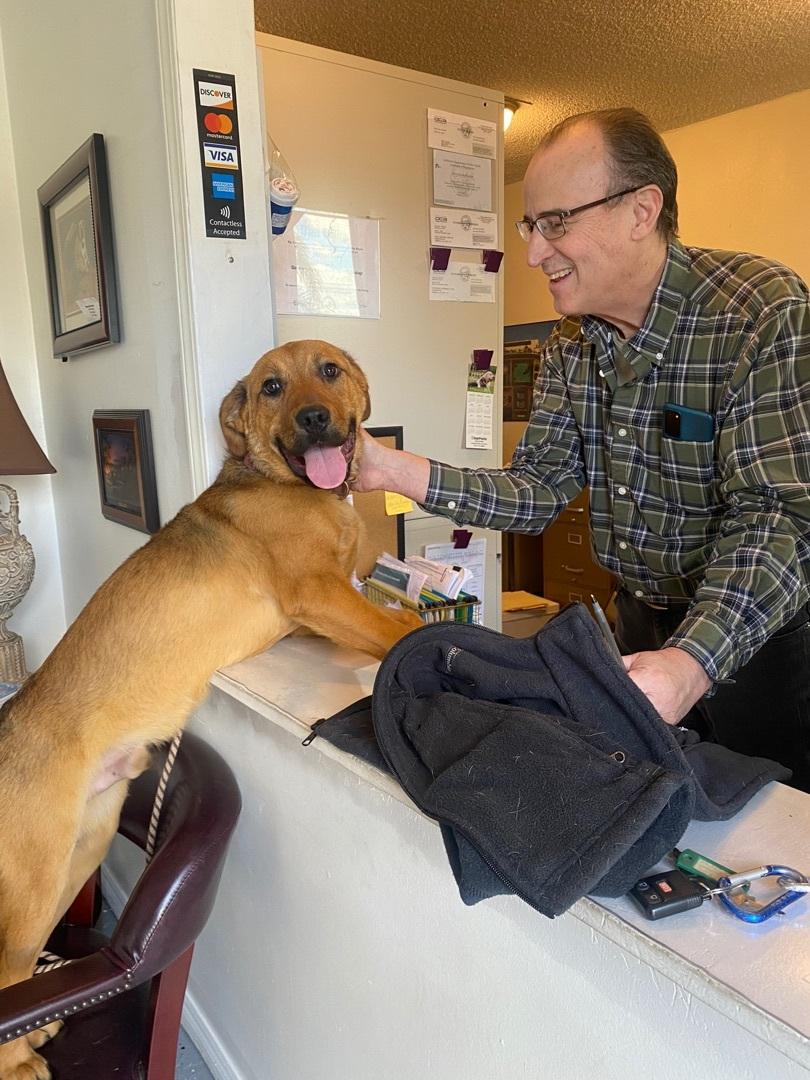 Awesome Mr. Wiggles Puppy