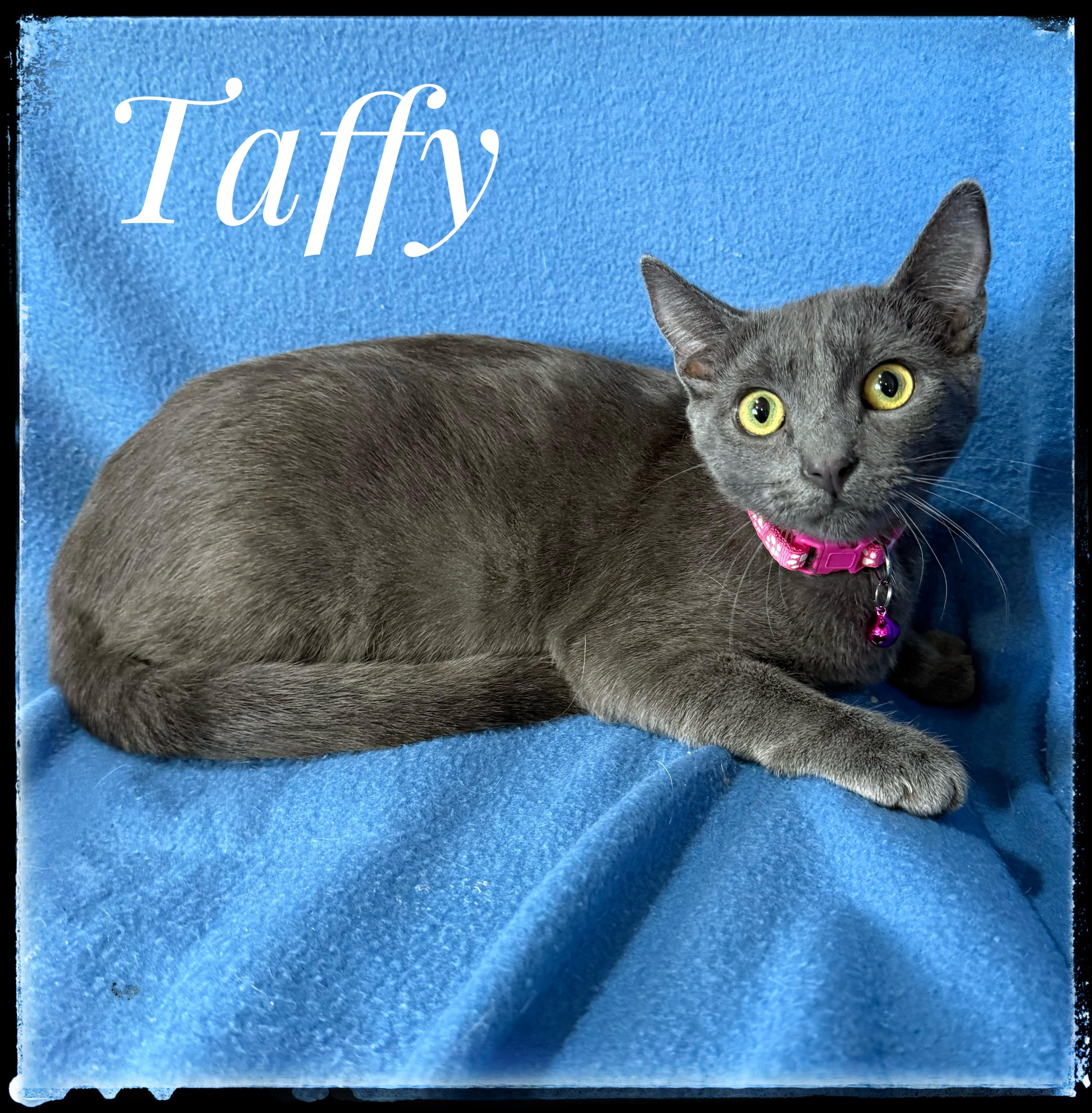 Taffy