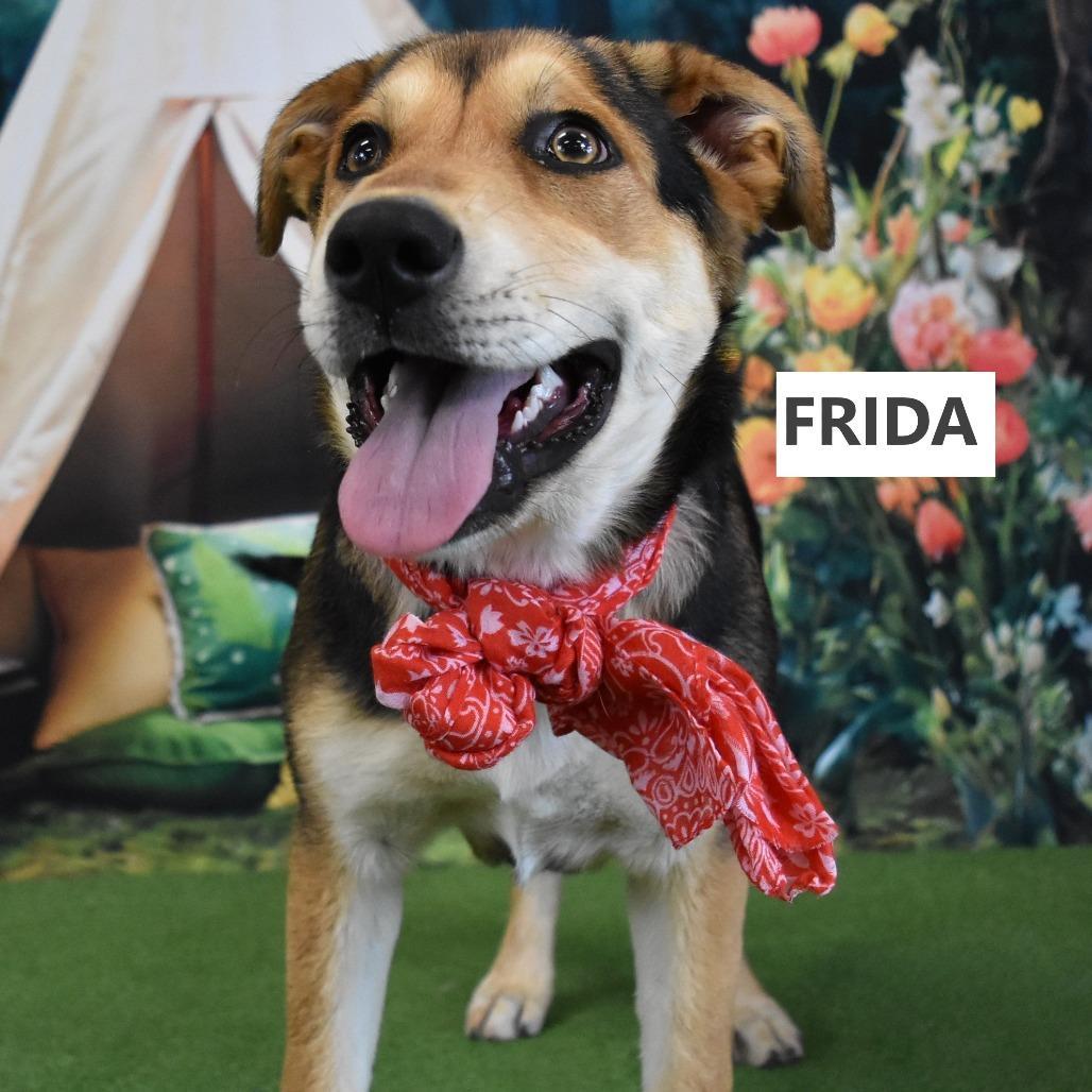 Frida
