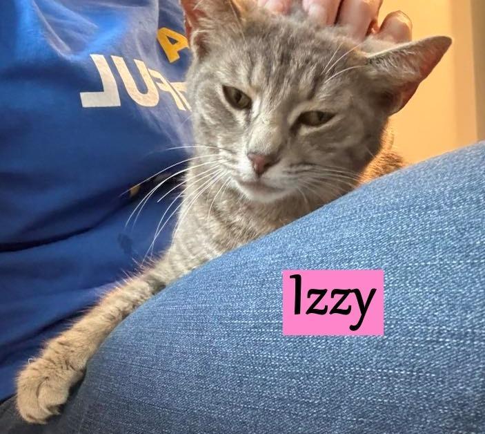 Izzy