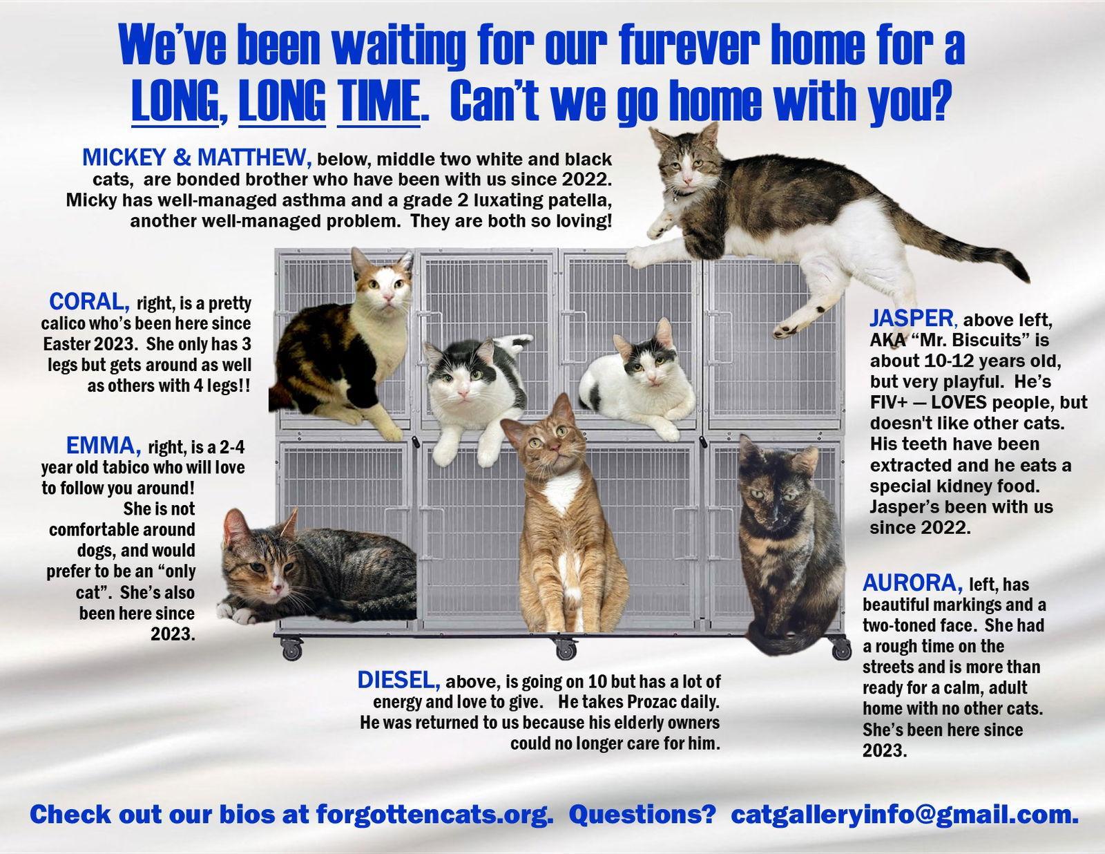 Longer Timers Part :