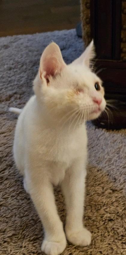 Saint Nick `a Priority