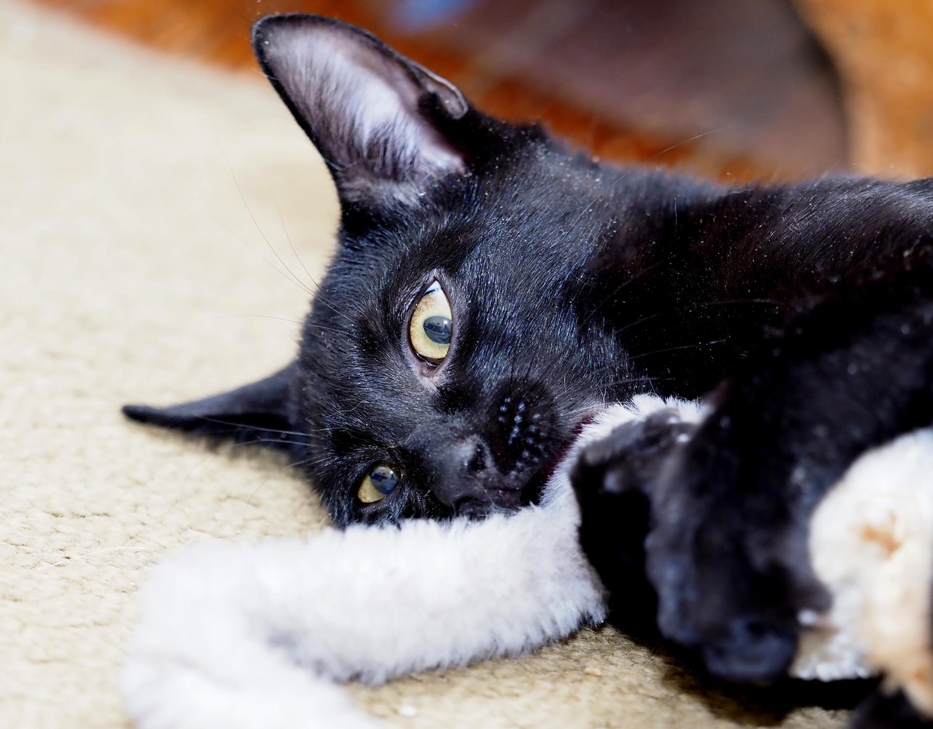 Takoda Baldwin photo 1