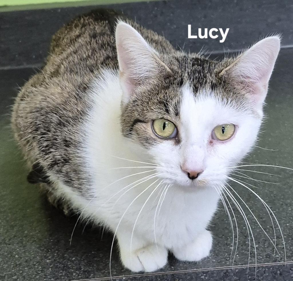 Lucy