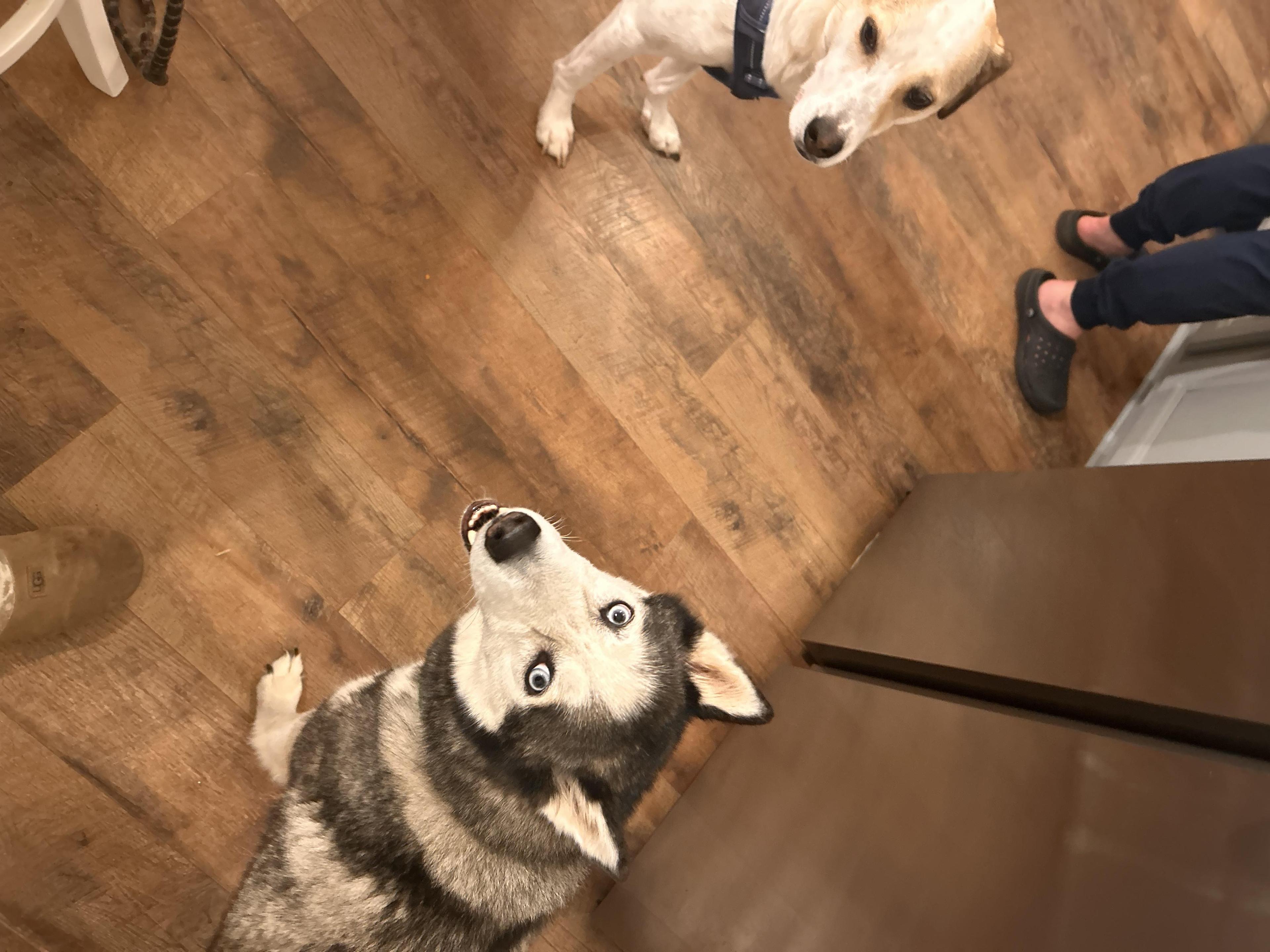 Courtesy Listing Winter