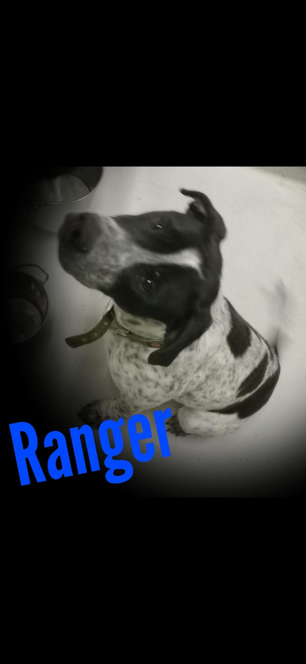 Ranger photo 1