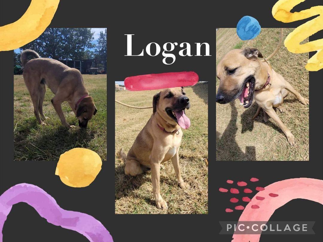 Logan