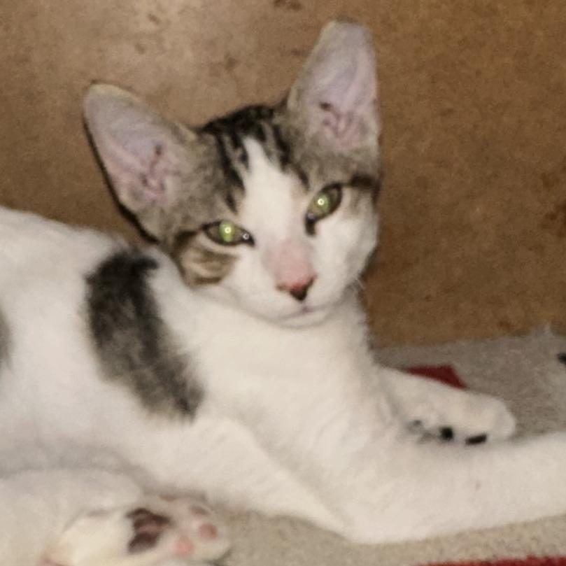 Give Me Love photo 1