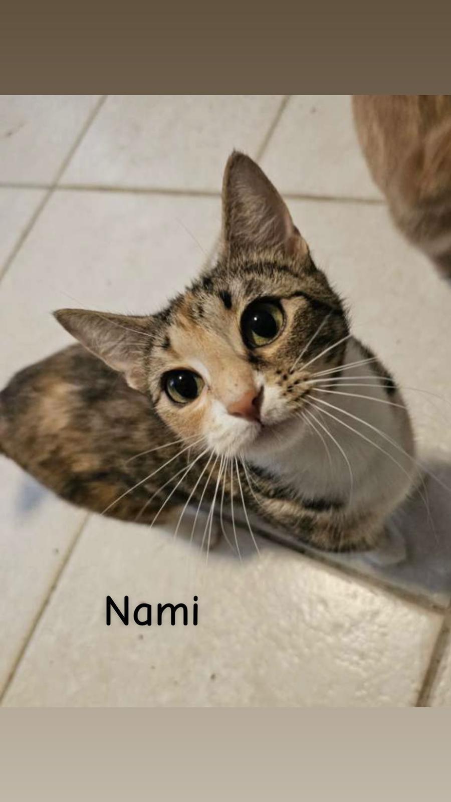 Nami