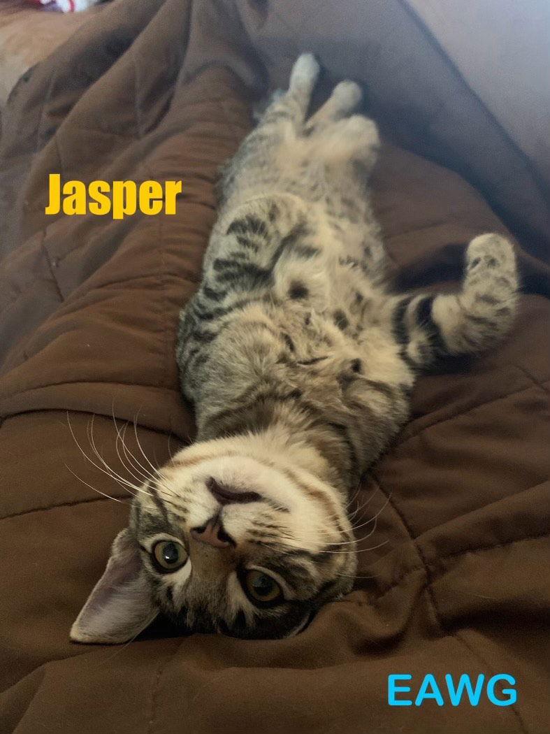 Jasper
