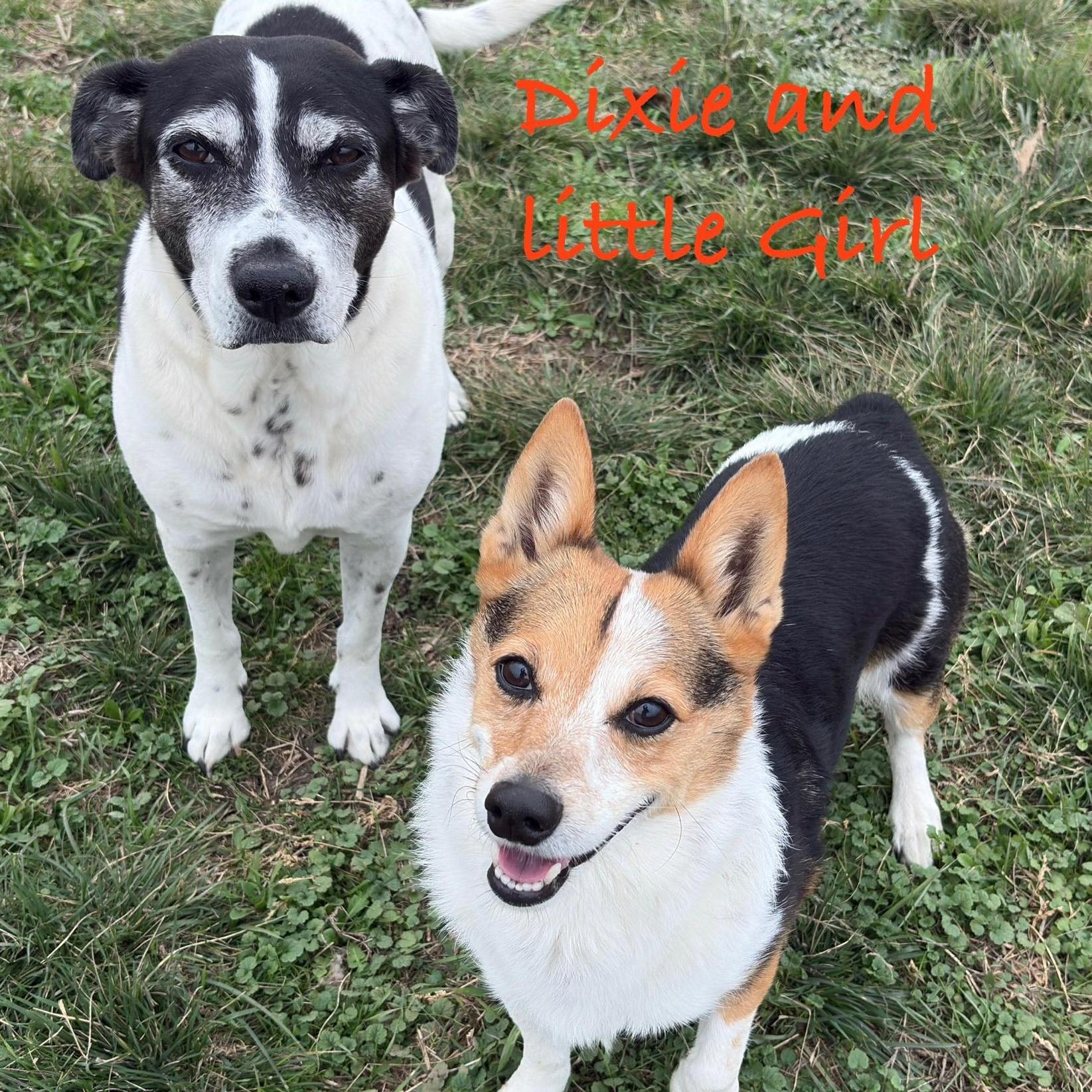 Dixie And Little Girl