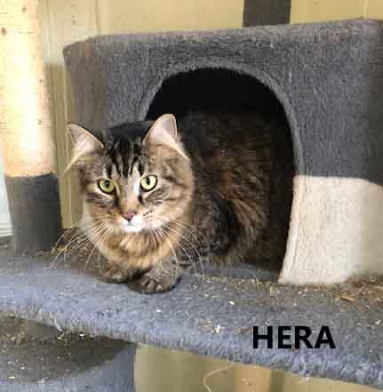 Hera