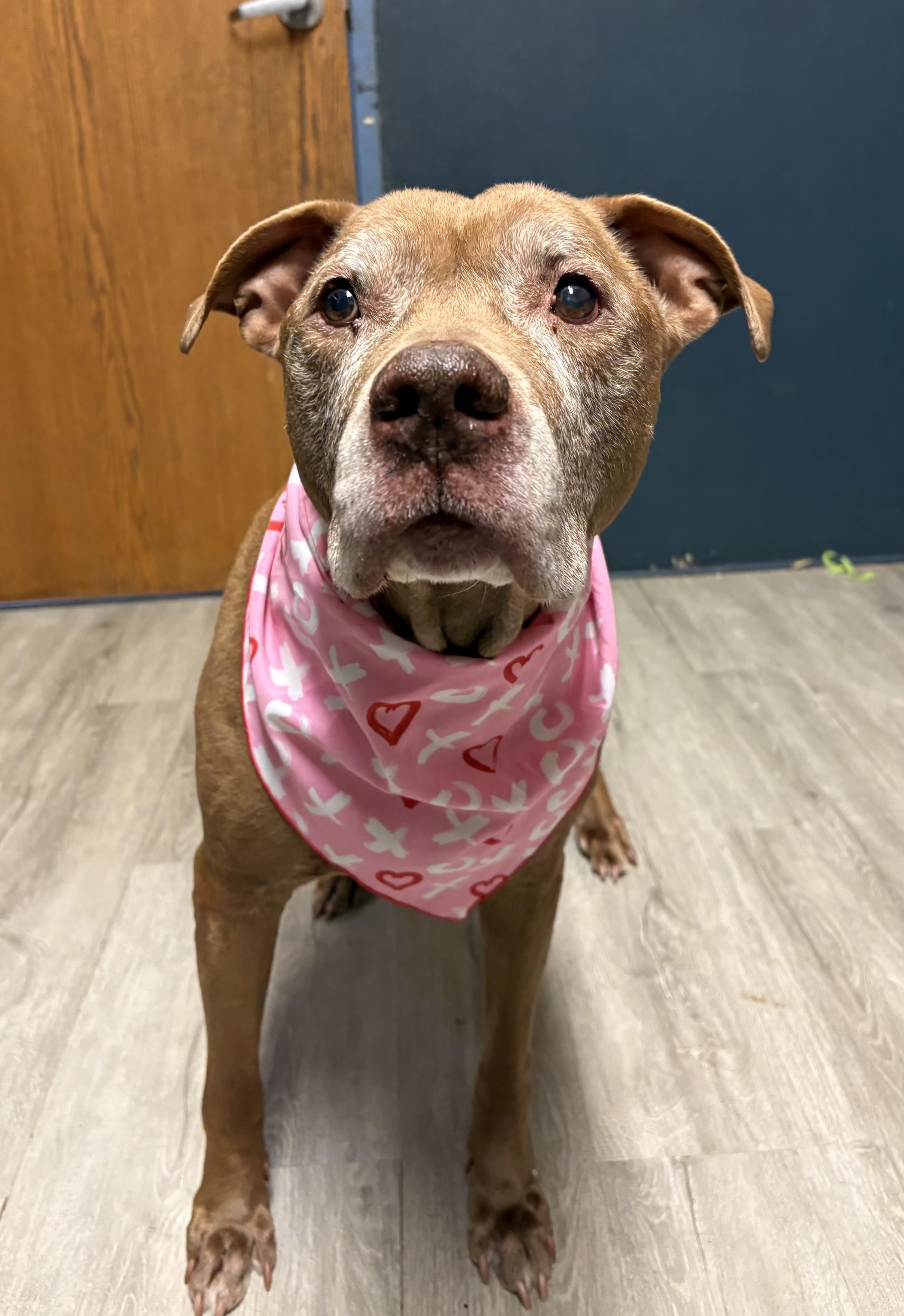 Frosted Flakes photo 1