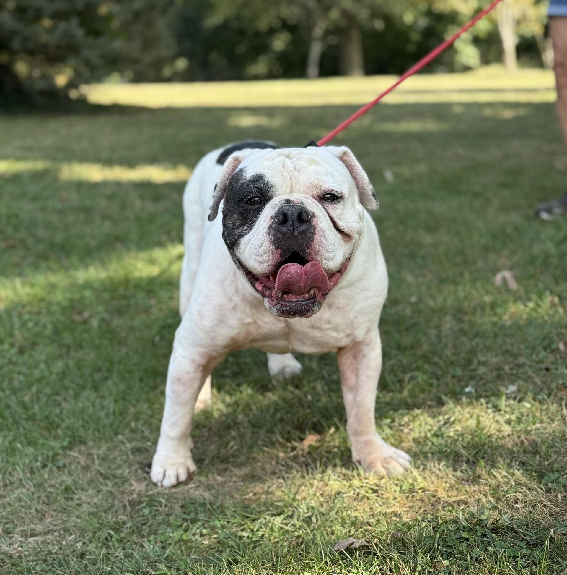Winston