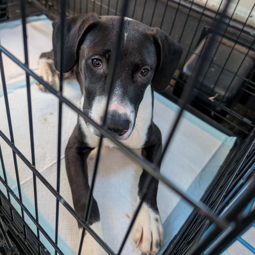 Roscoe Kirsten Mitchell photo 1