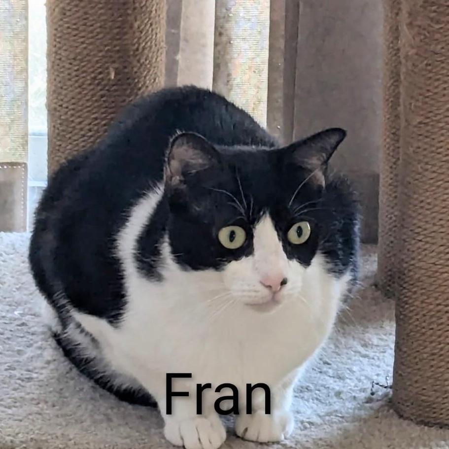 Fran