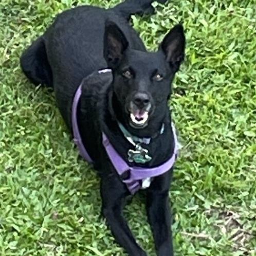 Wepa "excited For You!"