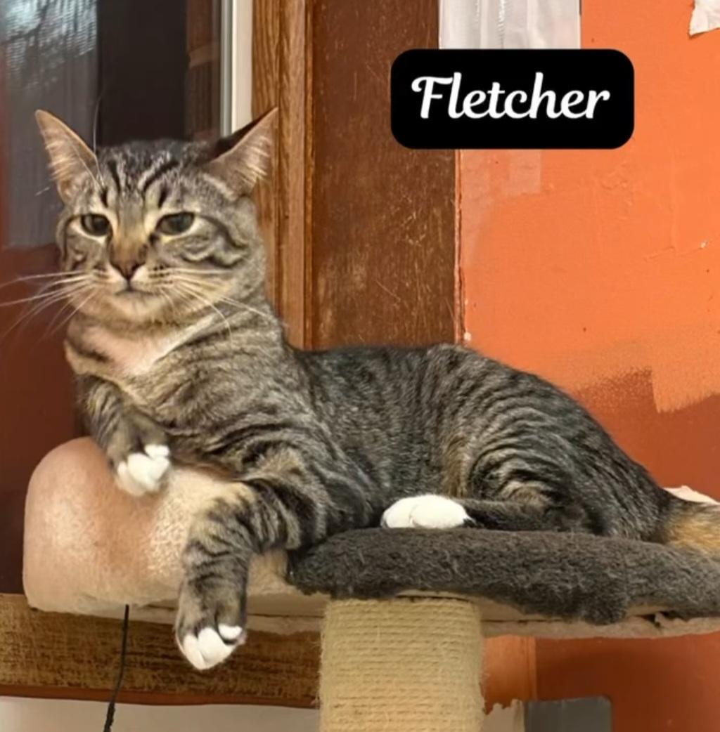 Fletcher