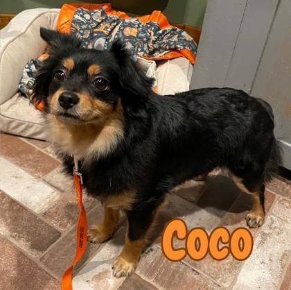 Coco