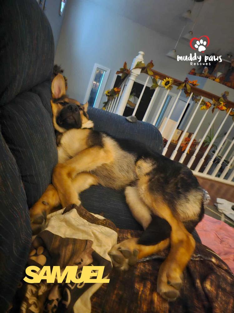Samuel Sage