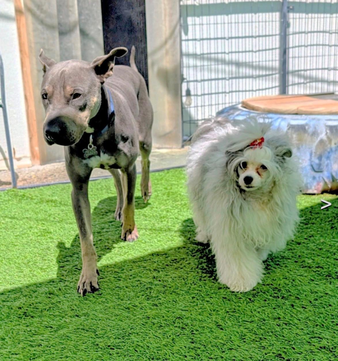 Chapo Is Very Friendly