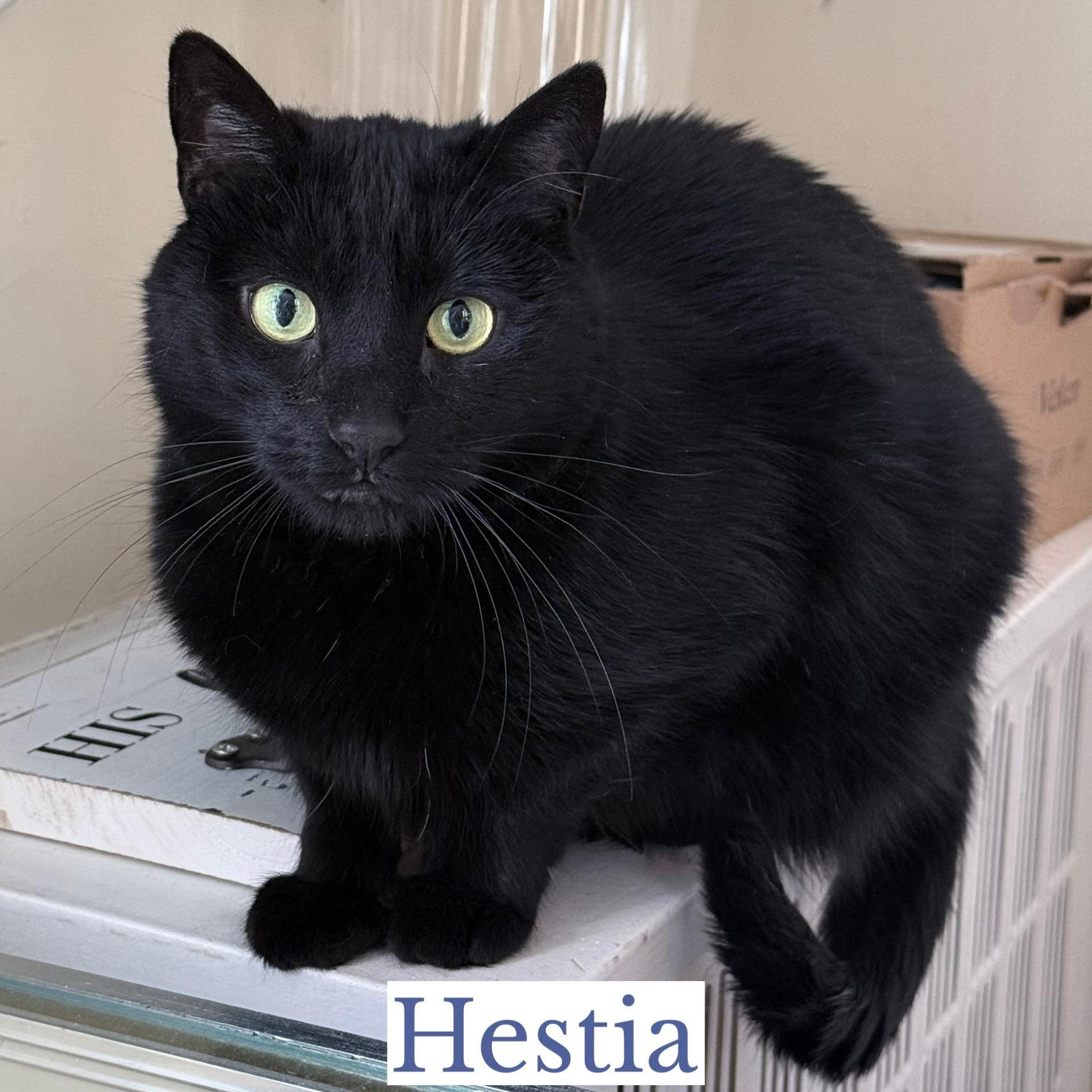 Hestia