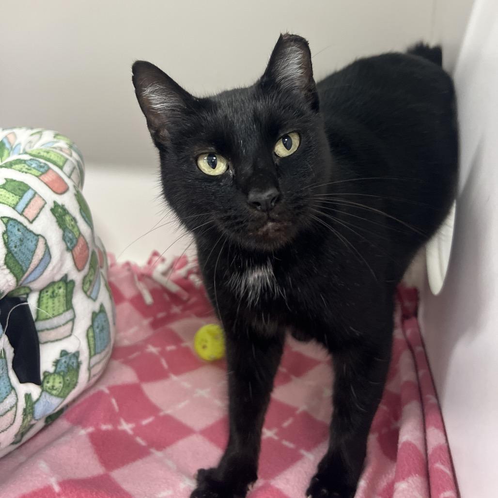 Sharon Osbourne photo 1