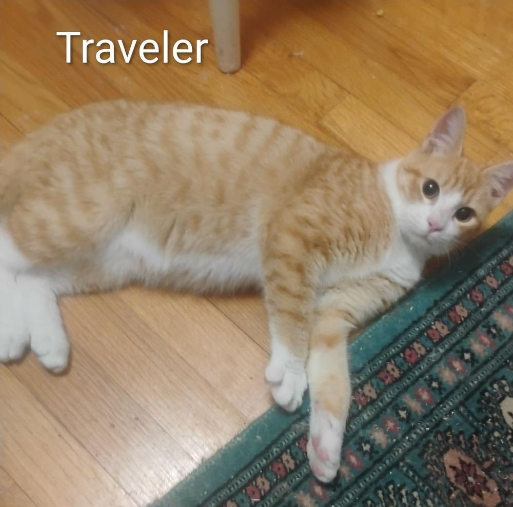 Traveler