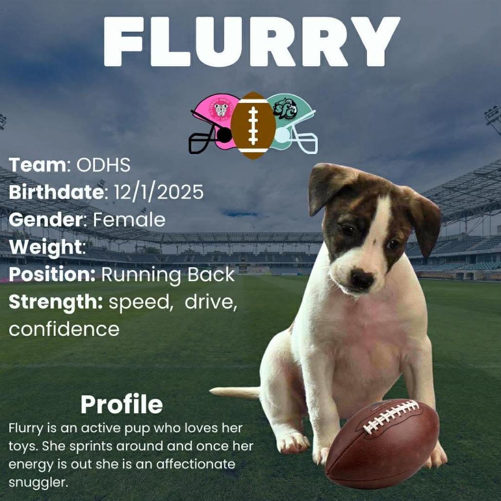 Flurry
