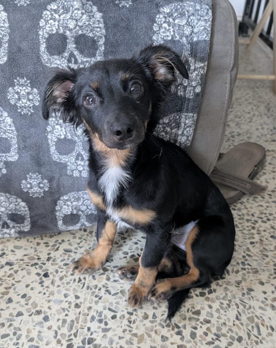 Clarise Sweetest Baby!