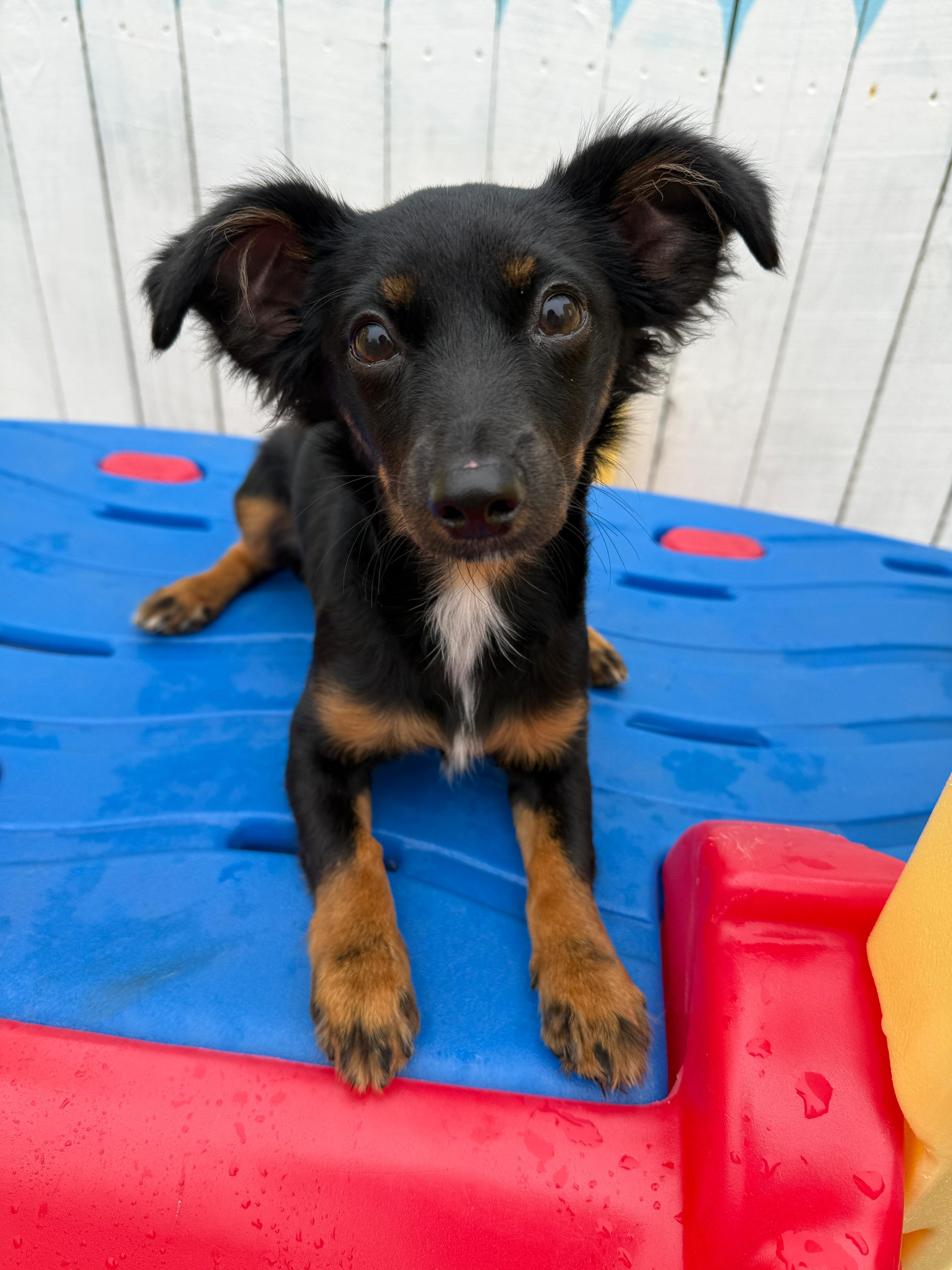 Clarise Sweetest Baby!