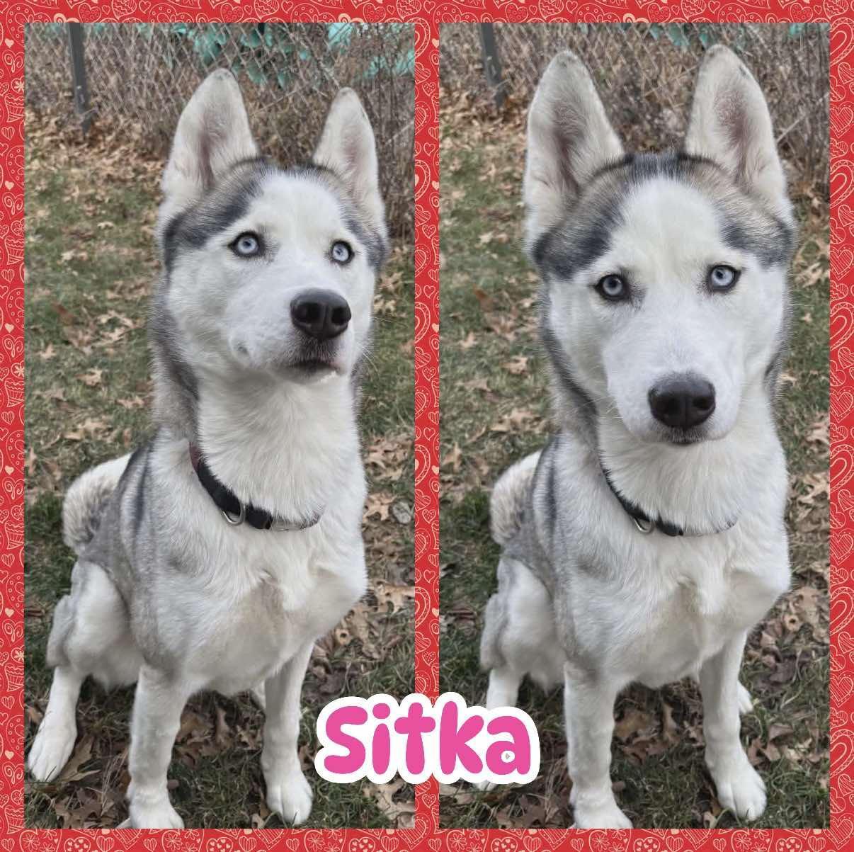 Sitka