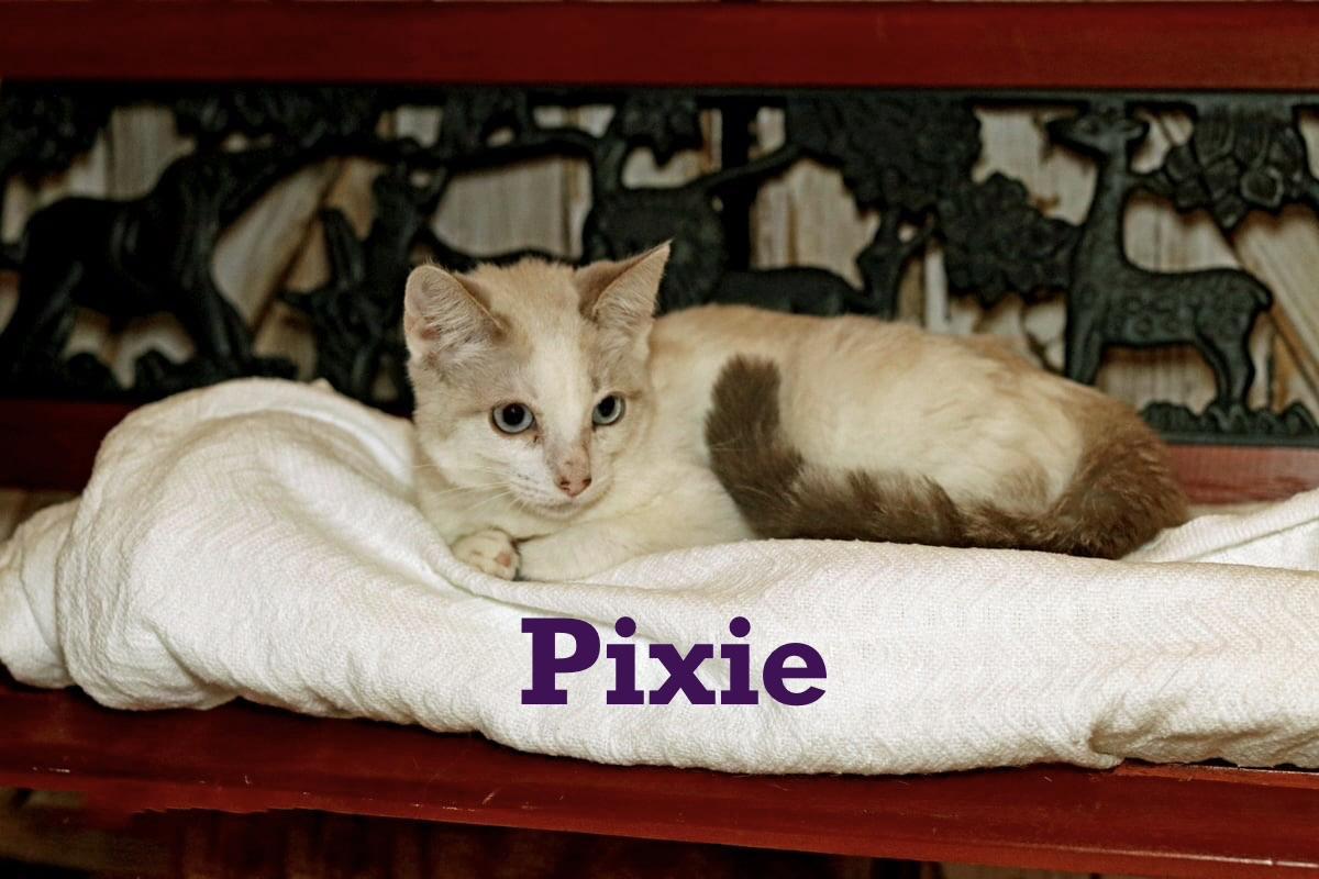 Pixie
