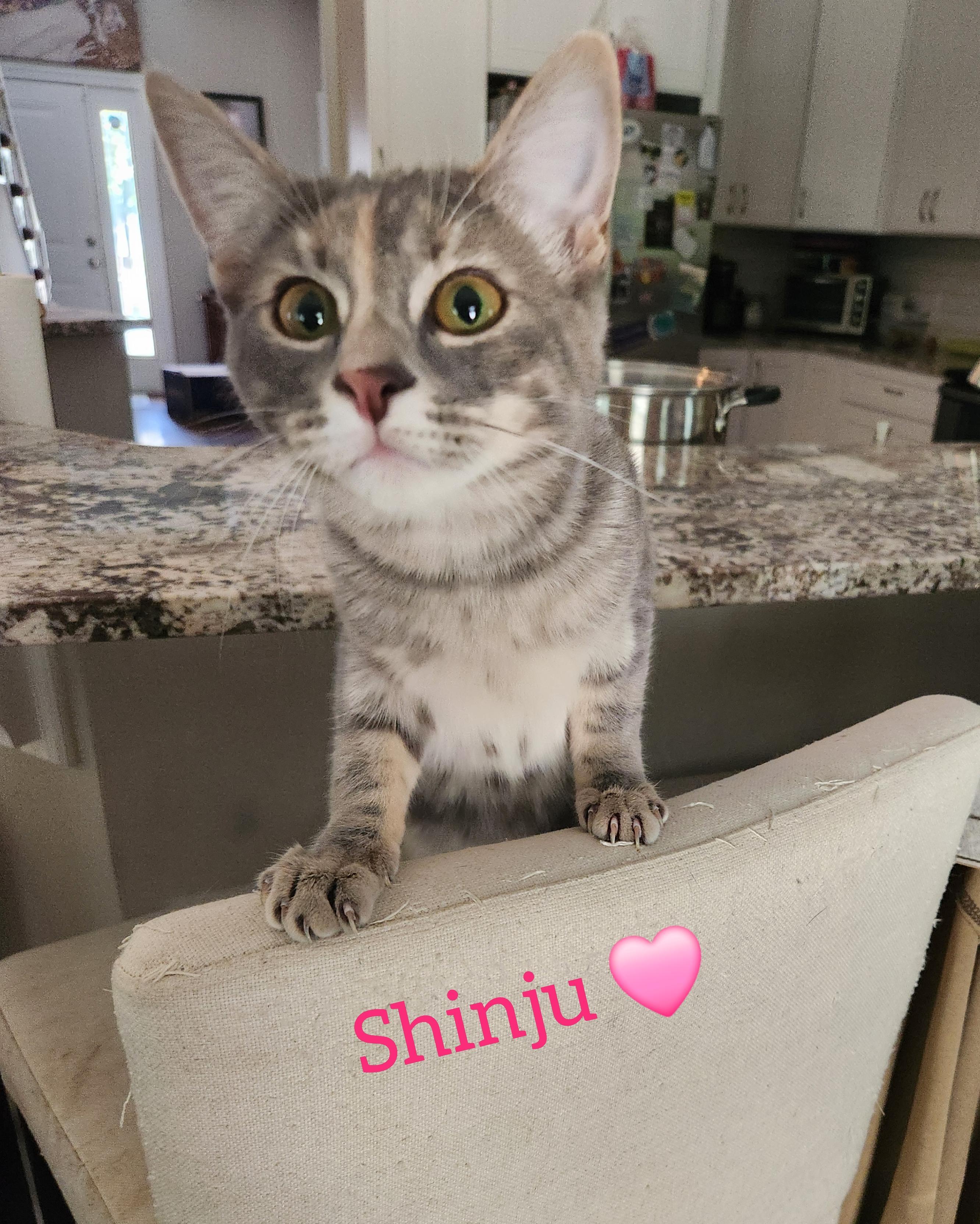 Shinju