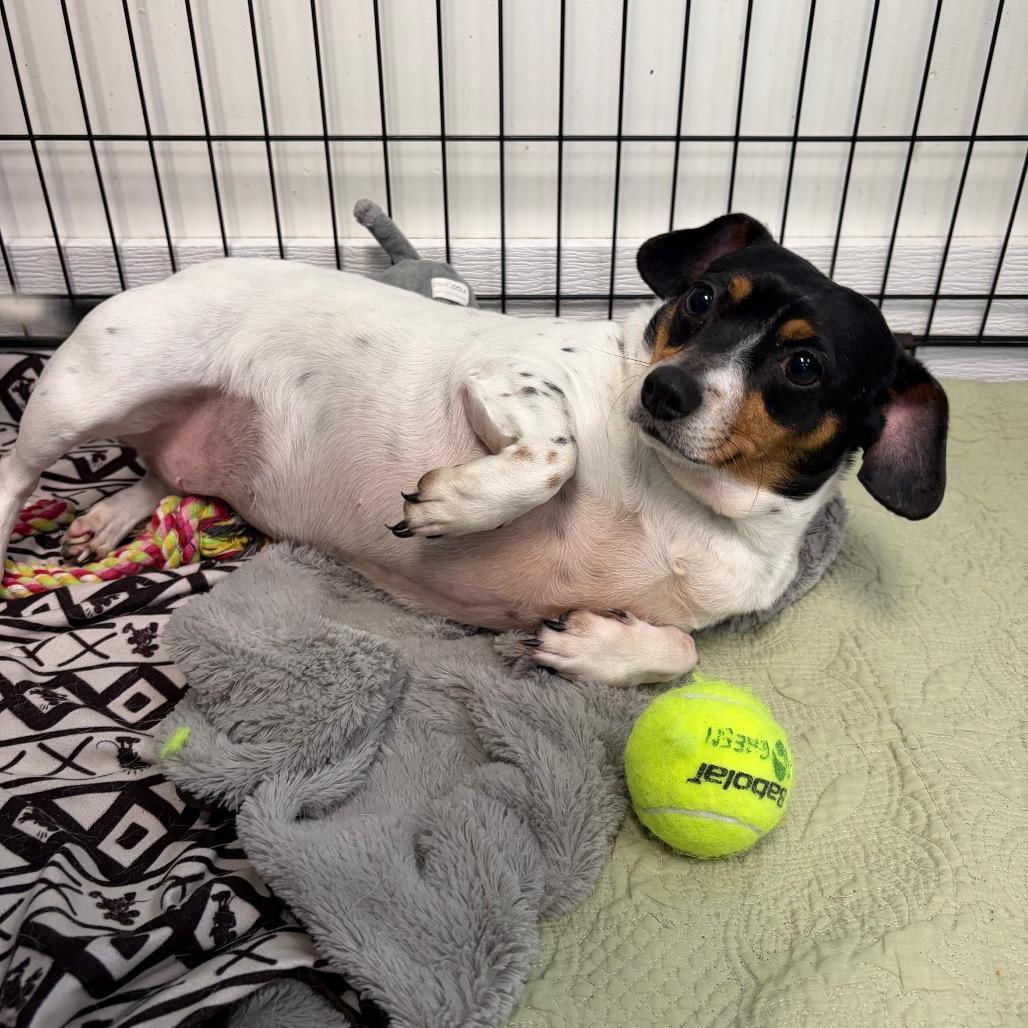 Olivia Benson photo 1